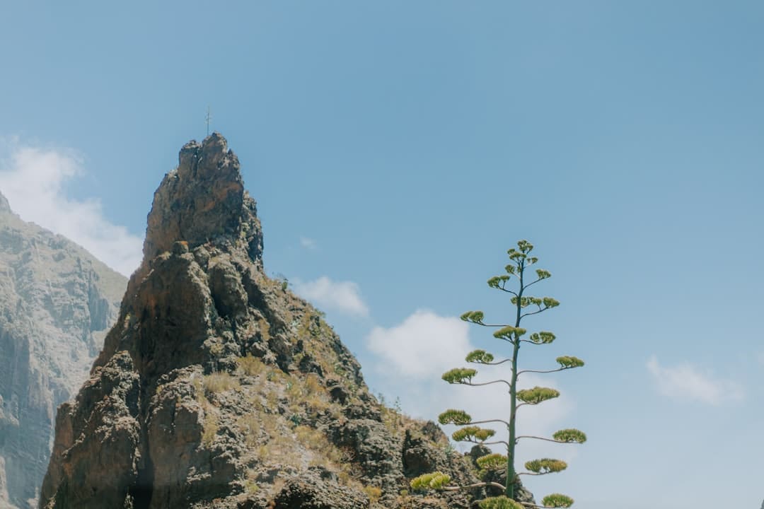 商业头条No.90